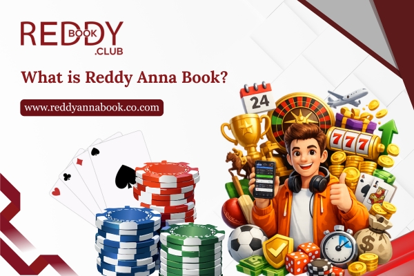 What is Reddy Anna Book